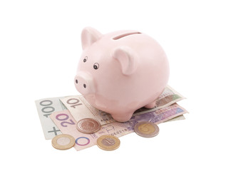 Piggy bank on polish banknotes. Clipping path included.