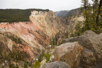 Yellowstone national park canyon