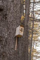 birdhouse on the white background