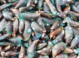 Mussels at the fish market