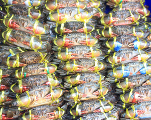 Fototapeta na wymiar Fresh Crab ready for sale at fresh market