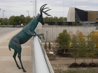 Deer Sculpture © bucknut4pic