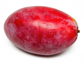 Mangofrucht
