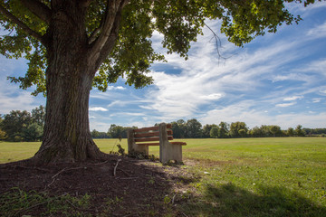 Park Bench under Tree, Park in Chesterfield, NJ
