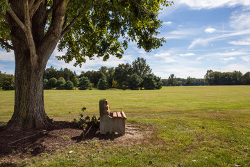 Park Bench under Tree, Park in Chesterfield, NJ