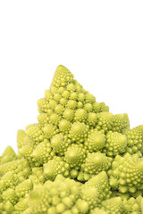 Cabbage romanesco