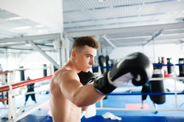 Fototapeta na wymiar Action boxer gloves in training attitude