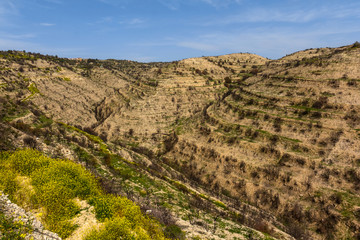 Fototapeta premium summer mountain valley