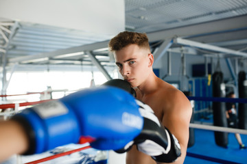 Fototapeta na wymiar Action boxer gloves in training attitude