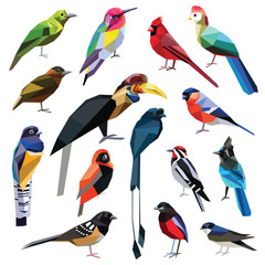 Birds-set colorful birds low poly design isolated on white background.
Hummingbird,Pitta,Finch,Leafbird,Drongo,Martin,Hornbill,Cardinal,Turaco,Sapsucker,Piculet,Towhee,Jay,Weaver,Trogon.