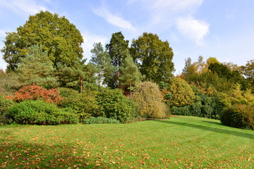 An English country garden in Autumn/ Fall