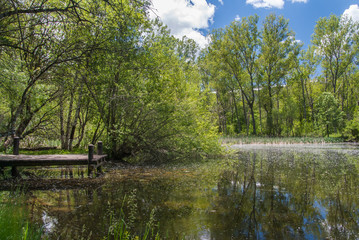 Fototapeta na wymiar Fantasy lake in the forest