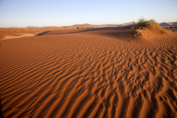  a dry lake Sossusvlei, Namibia