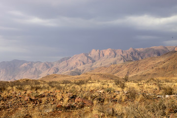 desert landscape after a storm, northern Namibia