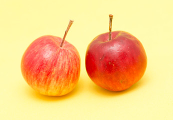 ripe apples on a yellow background