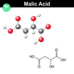 Malic acid molecule