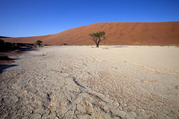  a dry lake Sossusvlei, Namibia