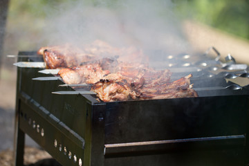 skewers. grilled meat on the coals