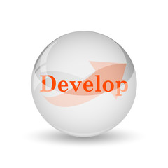 Develop icon