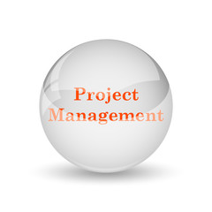 Project management icon