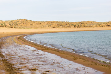Lake Shardara. Kazakhstan