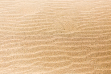 sand in nature as a background