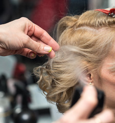 Obraz premium wrap curling hair in a beauty salon