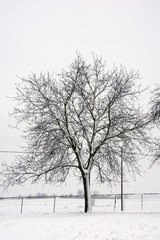 Winter in Hungary
