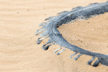 Fototapeta na wymiar wheel sand