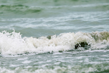 Fototapeta na wymiar waves on the lake