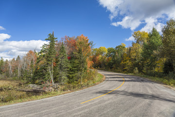 Fototapeta premium Winding Road in Autumn Lined with Fall Colour - Ontario, Canada