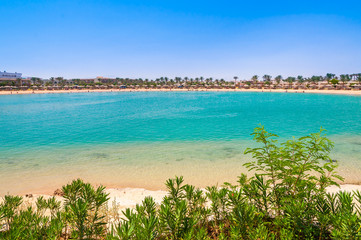 Landscape of tropical beach in lagoon with palm trees Egypt