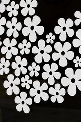 White flowers on a black background