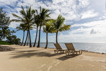 Palm trees and beach chairs/ turquoise sea and beautiful nature at Islamorada