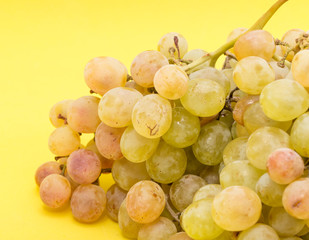 grapes on a yellow background