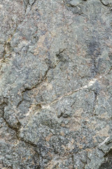 Texture of stone