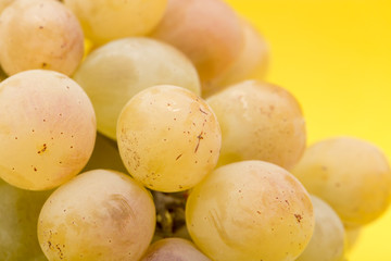 grapes on a yellow background