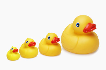 Row of rubber ducks showing stages of growth.