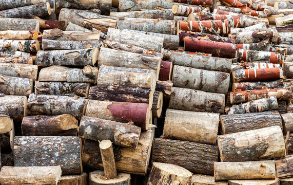 Chopped and stacked up dry firewood as background