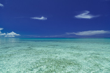 Stunning splendid gorgeous natural view of Cuban beach tranquil ocean against dark blue pretty sky background