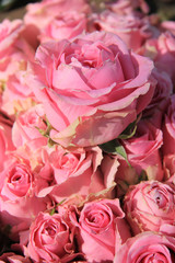 Pink roses in bridal bouquet