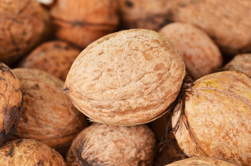 Ripe walnut (Juglans regia), close up, DOF