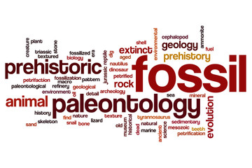 Fossil word cloud concept
