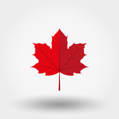 Red maple leaf icon. - obrazy, fototapety, plakaty