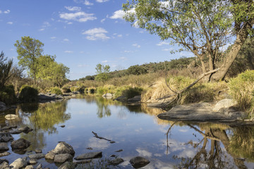 Countryside landscape scenic view of a fresh water stream in Alentejo region.