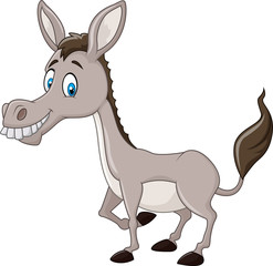 Funny donkey isolated on white background
