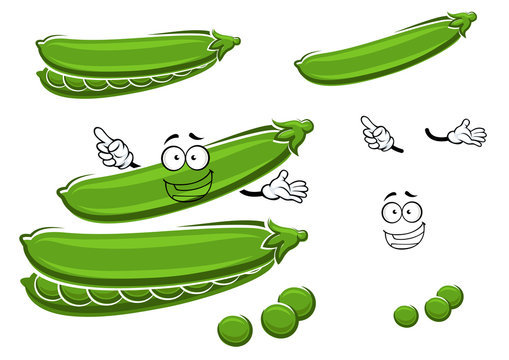 Cartoon pods of sweet green pea