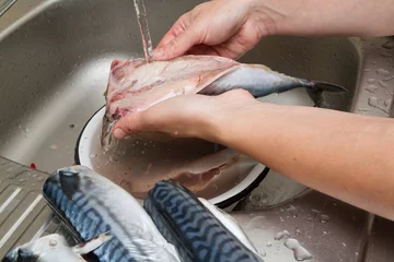 Tableaux ronds sur aluminium Poisson Le chef de femme nettoie le maquereau de poisson dans l& 39 eau