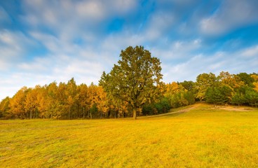Autumnal landscape with lake and plants with autumnal colors