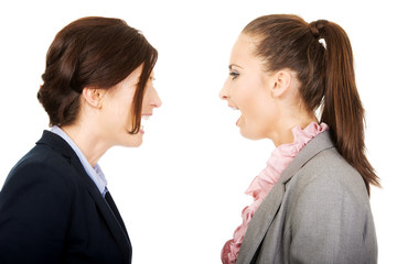 Angry businesswomans screaming at each other.